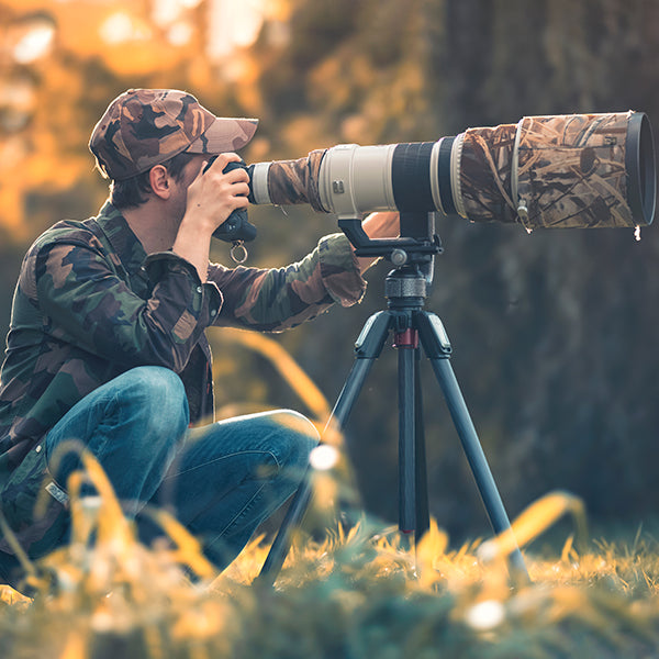 Wildlife photographer taking photos