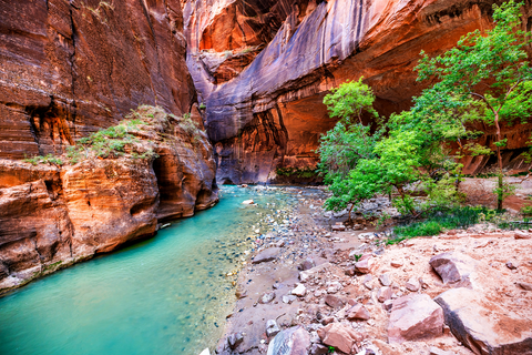 Zion National Park scenic view